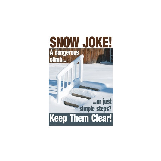 Snow Joke A2 Poster